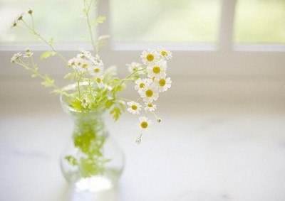 ˵˵ͼƬ2