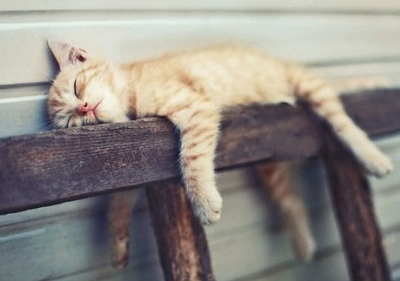 ˵˵ͼƬ7