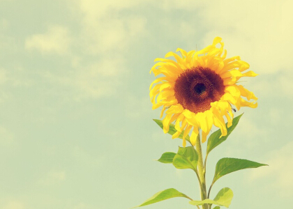 ˵˵ȫͼƬ5