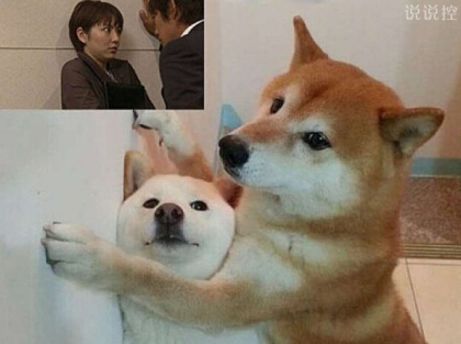 ͼЦ˵˵3