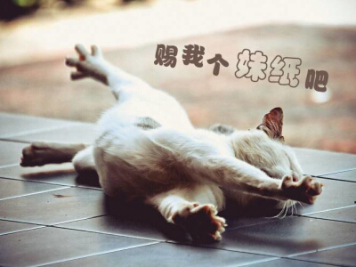搞笑说说大全带图片6 搞笑说说大全带图片6