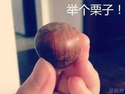 最搞笑的说说带图片,2017搞笑说说带图片4 最搞笑的说说带图片,2017搞笑说说带图片4